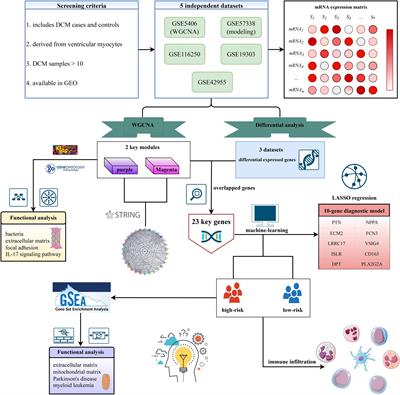 Exploring Key Genes to Construct a Diagnosis Model of Dilated Cardiomyopathy